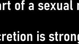 Tampa University Physical Turns Wild with Kendra Heart’s Screaming Orgasm in Florida