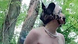In the forest, the ponygirl slave experiences orgasm during doggystyle bdsm with bound tits and buttplug.