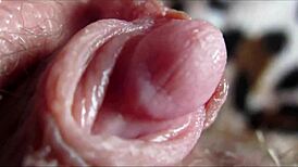 Big Clit Orgasm Closeup HD!