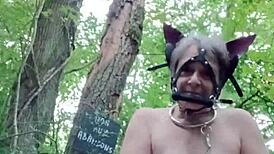 In the forest, the ponygirl slave experiences orgasm during doggystyle bdsm with bound tits and buttplug.