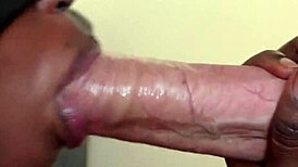 African ebony amateur gives interracial blowjob cum in mouth