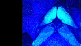 She Asks To Lay Down For Papi's POV Pussy Play