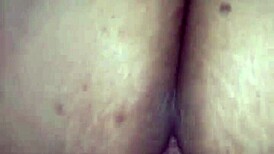 Thick Ebony Goddess Rides Reverse Cowgirl