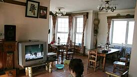 Hey, have you seen Zhang Xiaoyu's hot Chinese pussy in softcore action yet?