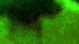 my russian girlfriend shares her daily adventures