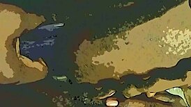 Ebony amateurs team up with dildo and tongue on wet pussy