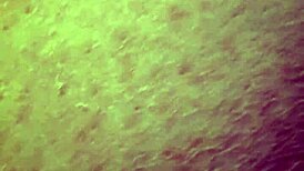 Onani dengan dildo dan tetek besar