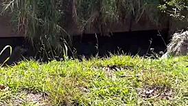 perguntei pra prostituta na rodovia quantos q era o a foda ela n�o cobro nada e me levou pro meio do mato pra foder ali mesmo