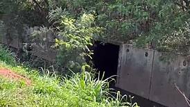 perguntei pra prostituta na rodovia quantos q era o a foda ela n�o cobro nada e me levou pro meio do mato pra foder ali mesmo