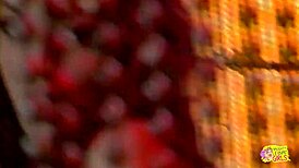 Vintage Striptease with Blonde and Brunette Lesbian Sex