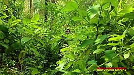 Amateur BBW Babe Outdoor Sex