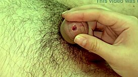 pay attention to me im sucking your tiny dick