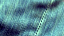 Raven May casting POV 3 with choking and gagging.