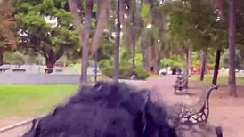 Tomando Leche En Un Parque Público De Día En Buenos Aires