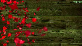 Chico De Xvideos Me Quita La Tanga Y Me Pa Recibir Su Verga En Mi Vagina Que Esta Deseosa De Su Verga