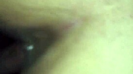 Toca Cogida Matutina with Mexican Amateurs!