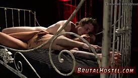 Felicity Feline Excites Tourists With Bondage Skills!