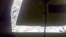 Let's Have Doggy Style Right Now