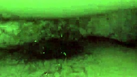 Cum In Pussy Creampie Then Fucked Like Bitch Doggy Style - Viral Pinay Couple