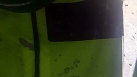 Let's Have Doggy Style Right Now