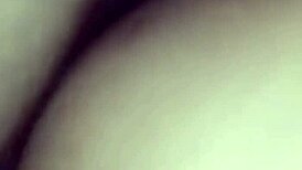 Cuzinho Devorando Rola In Transsexual Crossdressing Bareback