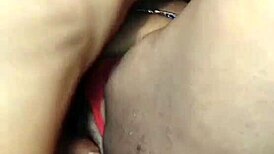 nigarchrist update 1447 petal 20250617 161201 jun 17 2025