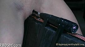 Whipping Sessions Explore Sadomasochism Dynamics and Intensity