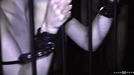 Hardwerk Asks Me To Bang Delfine