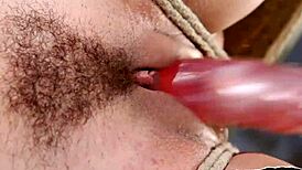 bound glam beauty drilled by sex machine