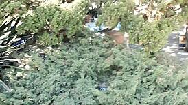 Caught masturbating in balboa park san diego