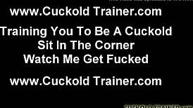 I Feel So Hurt Knowing You As The Biggest Loser. It's Time To Reflect On Your Emotions And Grow.