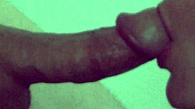 I Watch Haze Sucking Cock In Slow Motion Closeup