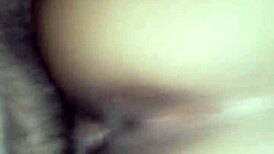 Camila Morenita Argenta's Vibrant Performance