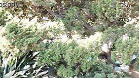 Caught masturbating in balboa park san diego