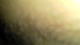 Camila Morenita Argenta's Vibrant Performance