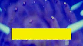 Brazzers Features Lulu Chu And April Olsen In A Group Activity