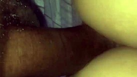 Redbone Reverse Cowgirl Riding Big Black Cock!
