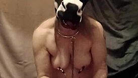 Slave f humiliated with anal defilement