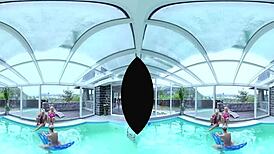 Havuzda büyük memeli Avrupa dörtlüsü, tıraşlı ve hazır.