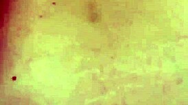 first week at college turned wild with a steamy threeway involving laney grey, lyra lockhart, and brad newman