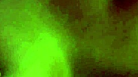 kinky femdom lesbian group sex party