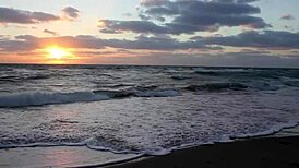 I am learning to let go in this hardcore kinky mexican chapter