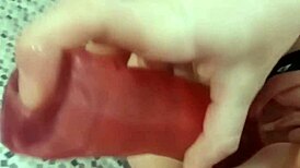 latina teen talia goes through full casting with bondage and fucking