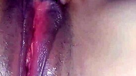 Anda Bien Caliente Mi Vecina