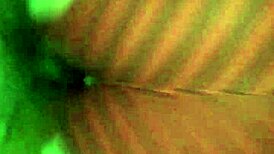 bbw reverse cowgirl on big black cock