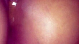 ruby, you puta with your open ass for anal fucking?