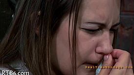 wearing a collar in bdsm scene