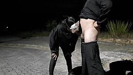 Professional Anal Sex On Street Voyeur Creampie Deepthroat Assfucking Big Cock Amateurs