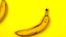 I am learning to let go in this hardcore kinky mexican chapter