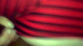 bbw reverse cowgirl on big black cock